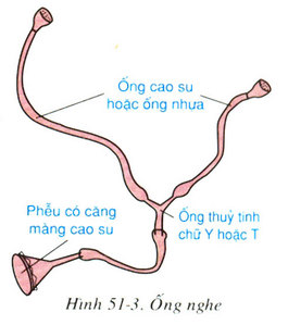 Giải bài 4 trang 165 sgk Sinh 8 | Để học tốt Sinh 8
