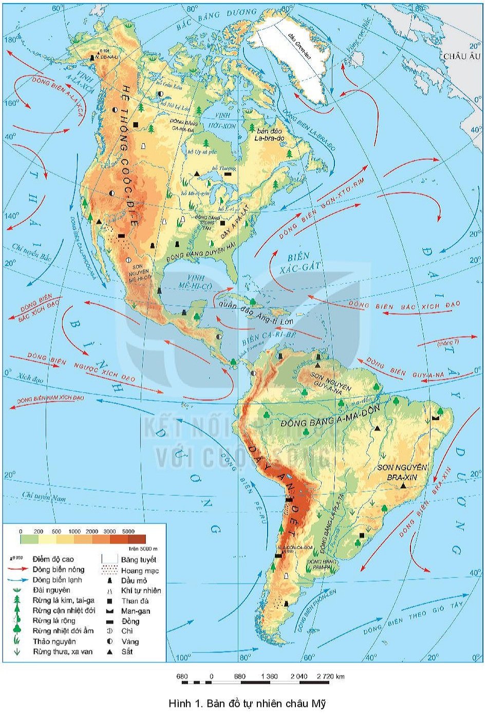 Bài 13. Vị trí địa lí, pham vi châu Mỹ. Sự phát kiến ra châu Mỹ SGK Địa lí  7 Kết nối tri thức với cuộc sống | SGK Lịch sử và